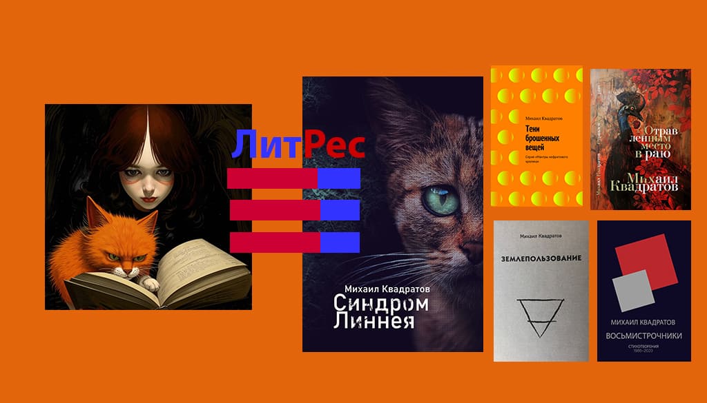 литрес книги михаила квадратова